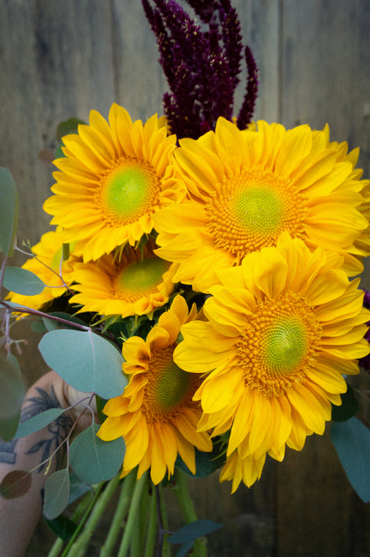 Sunflower Bouquet