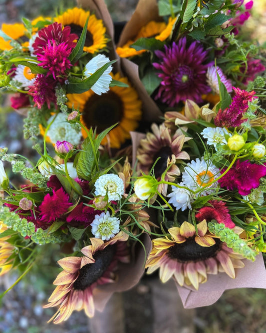 2026 CSA 12 Week Flower Share